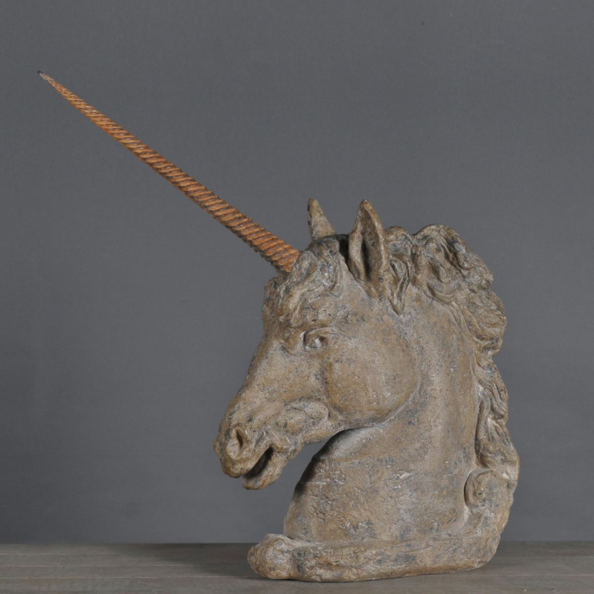 Unicorn best sale style head